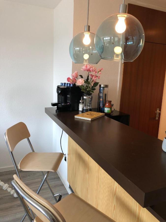 Grosses Appartement Mit Aussichtsbalkon Ludwigsburg Eksteriør bilde